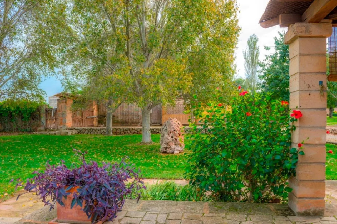 Villa Ses Tendes Algaida